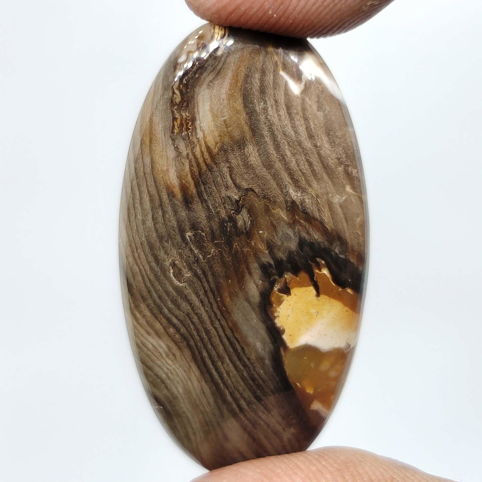 29.30 ct Natural Peanut Wood Jasper (1 of 1)