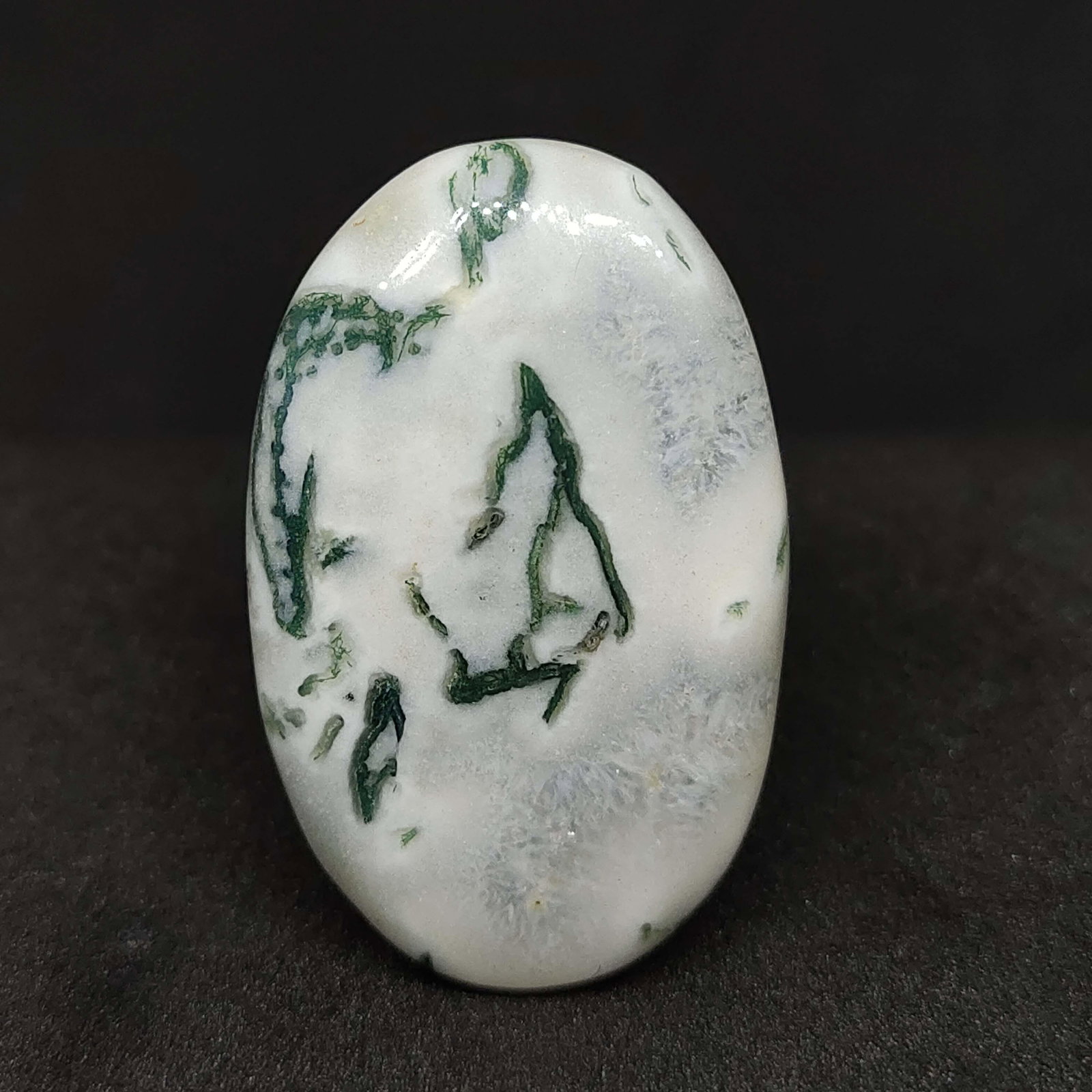 37.50 ct Natural Tree Agate (1 of 1)