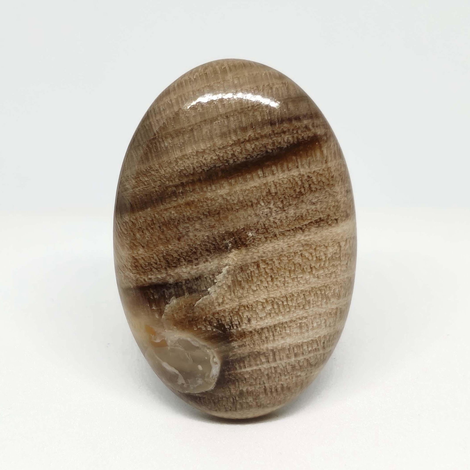 31.40 ct Natural Peanut Wood Jasper: All the stones listed are 100% natural and rarely selected from a big quantity lot also these are of very high quality. BID WITH CONFIDENCE!!! DIMENSIONS : 31X21X6 mm