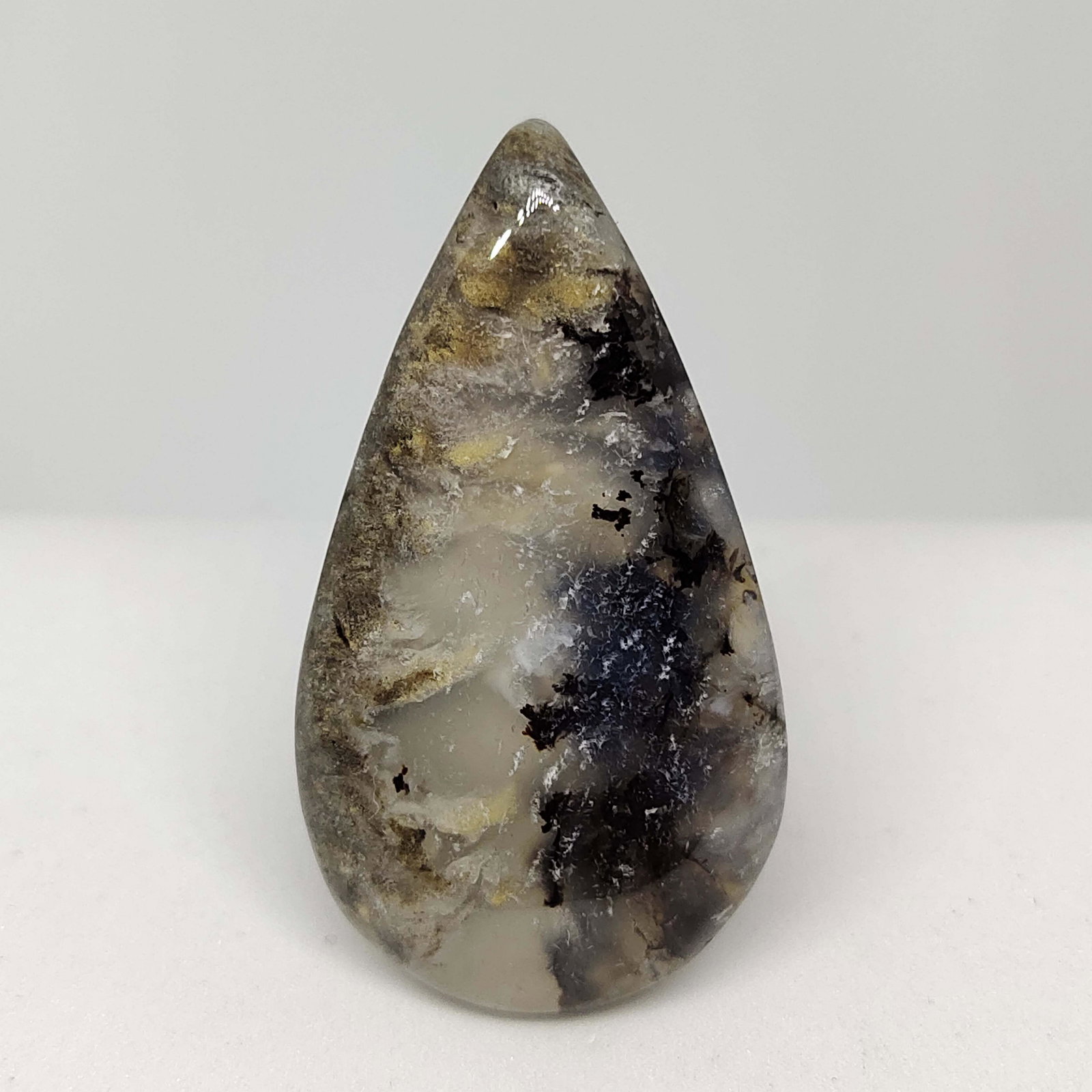 54.9 ct Natural Tiger Dendrite Agate (1 of 1)