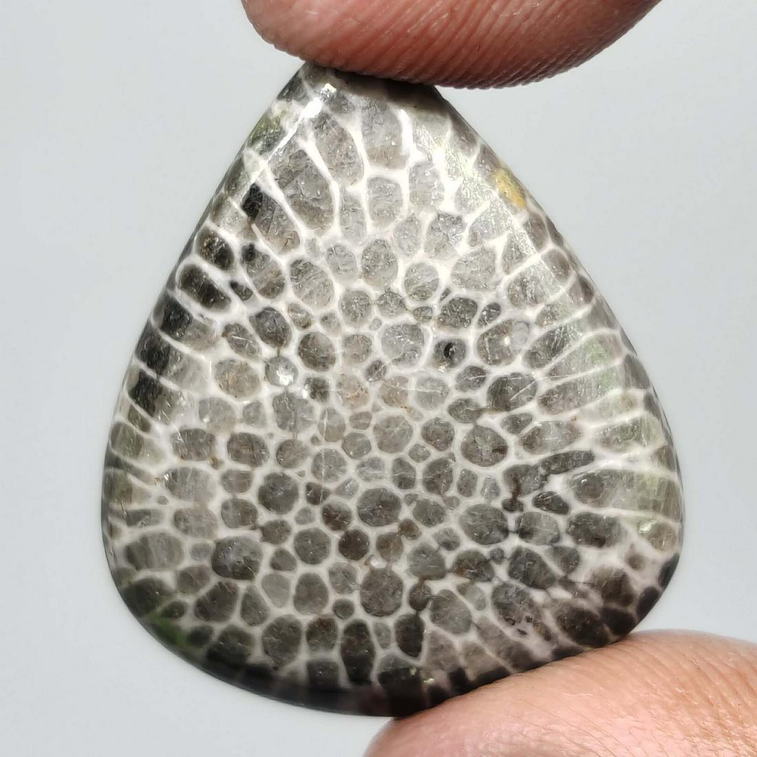 18.90 ct Top Grade Natural String Rey Fossil Coral: All the stones listed are 100% natural and rarely selected from a big quantity lot also these are of very high quality. BID WITH CONFIDENCE!!! DIMENSIONS : 26X21X4 mm
