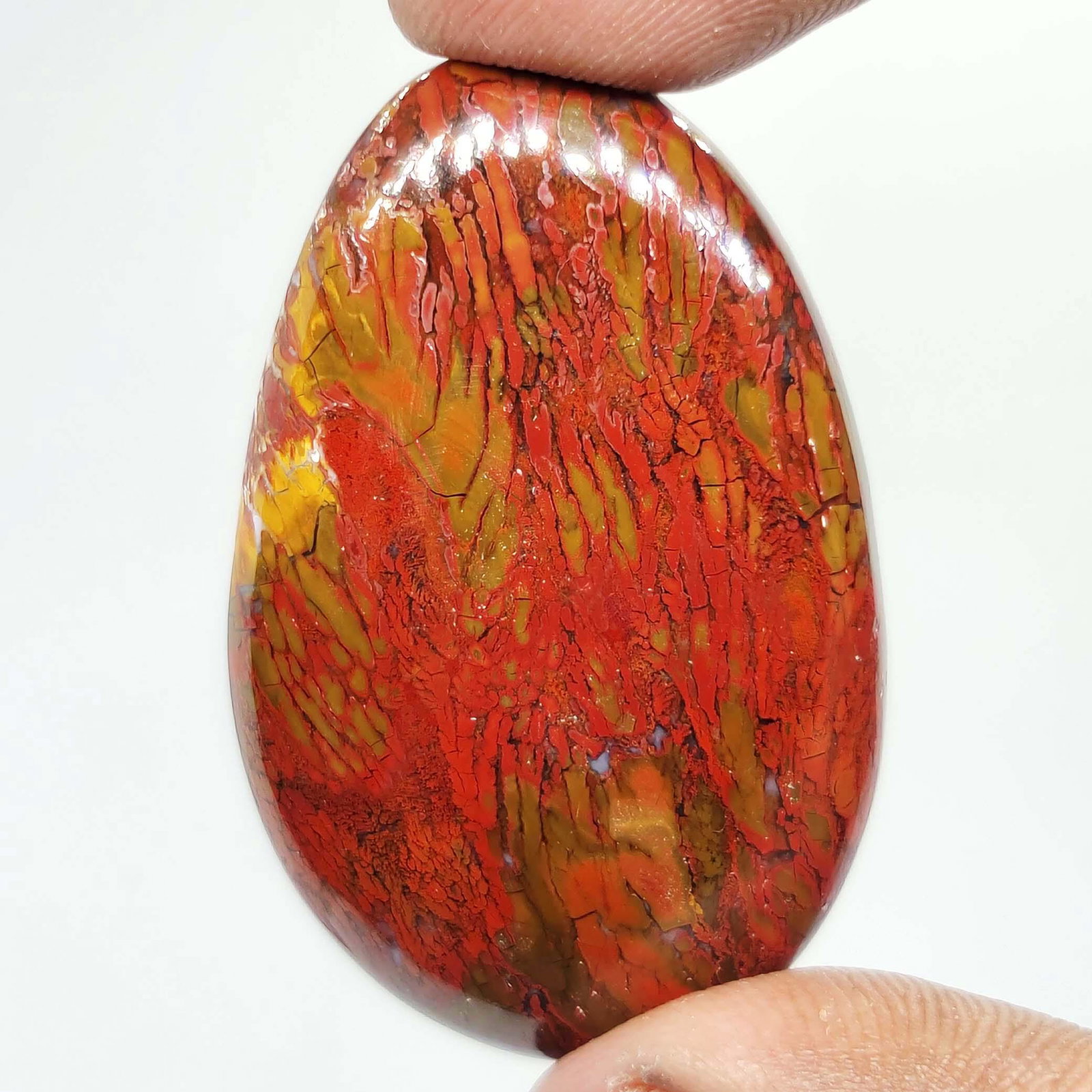54.50 ct Natural Red Dinosaur Bone Jasper: All the stones listed are 100% natural and rarely selected from a big quantity lot also these are of very high quality. BID WITH CONFIDENCE!!! DIMENSIONS : 40X25X6.5 mm