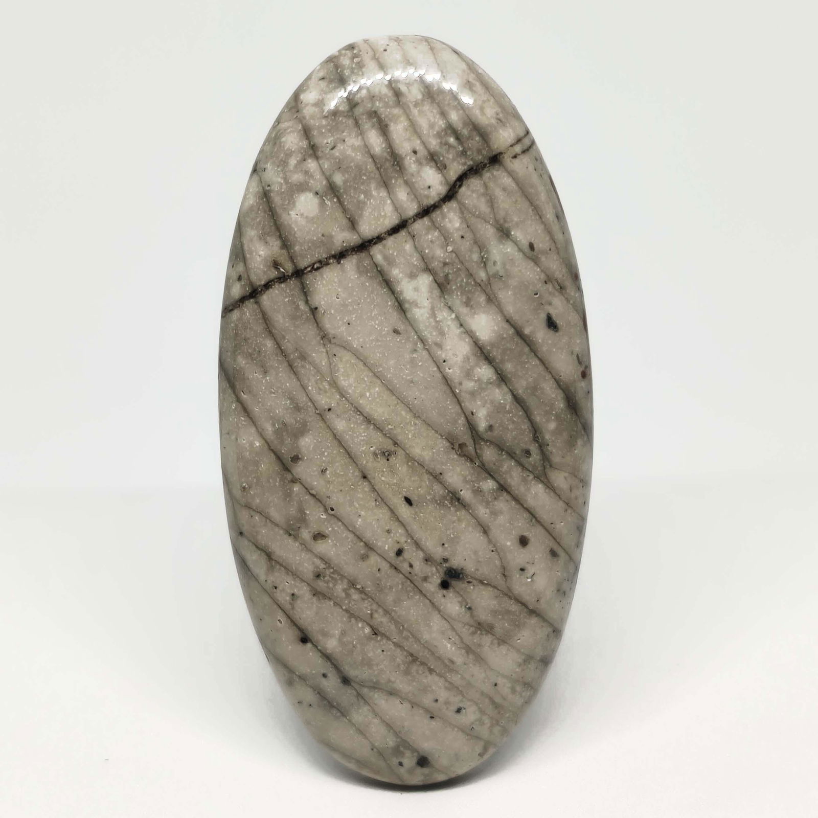 75.80 ct Natural Willow Creek Jasper: All the stones listed are 100% natural and rarely selected from a big quantity lot also these are of very high quality. BID WITH CONFIDENCE!!! DIMENSIONS : 52X26X6 mm