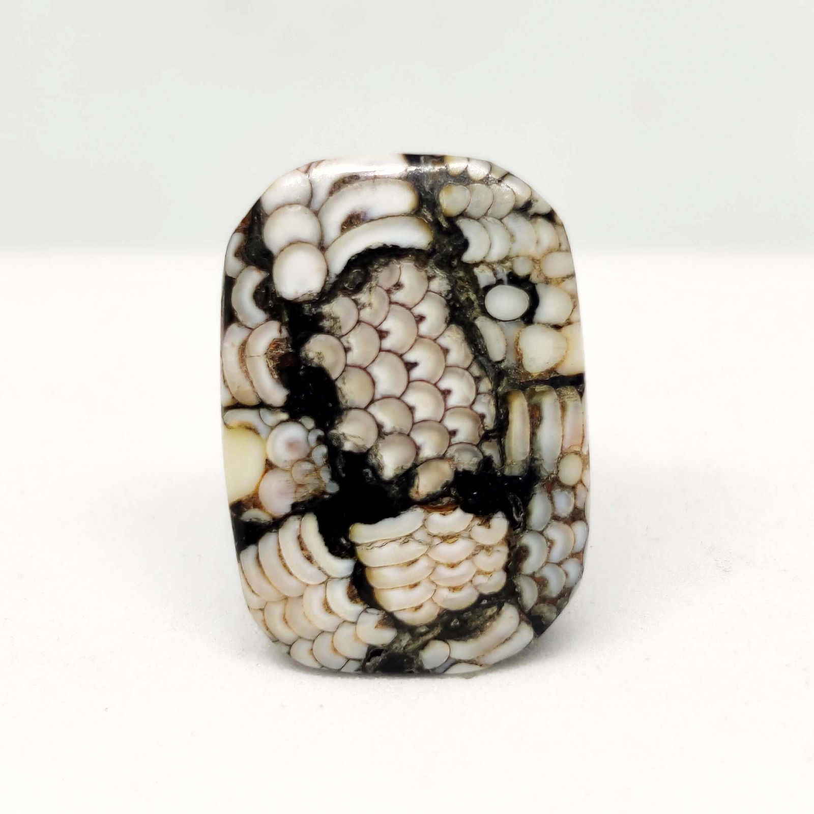 14.45 ct Very Rare Natural Snake Skin Fossil: All the stones listed are 100% natural and rarely selected from a big quantity lot also these are of very high quality. BID WITH CONFIDENCE!!! DIMENSIONS : 20X14X6 mm