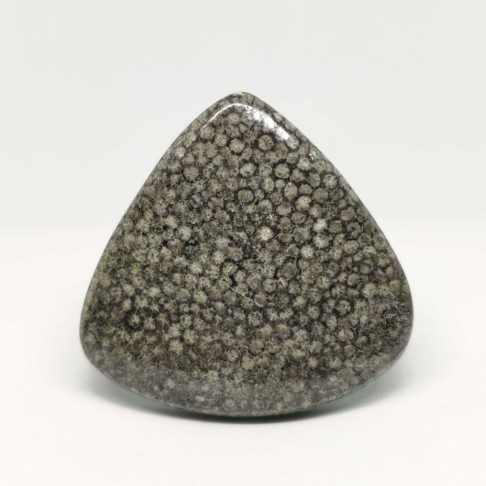 48.15 ct Natural String Rey Fossil Coral: All the stones listed are 100% natural and rarely selected from a big quantity lot also these are of very high quality. BID WITH CONFIDENCE!!! DIMENSIONS : 34X35X5 mm