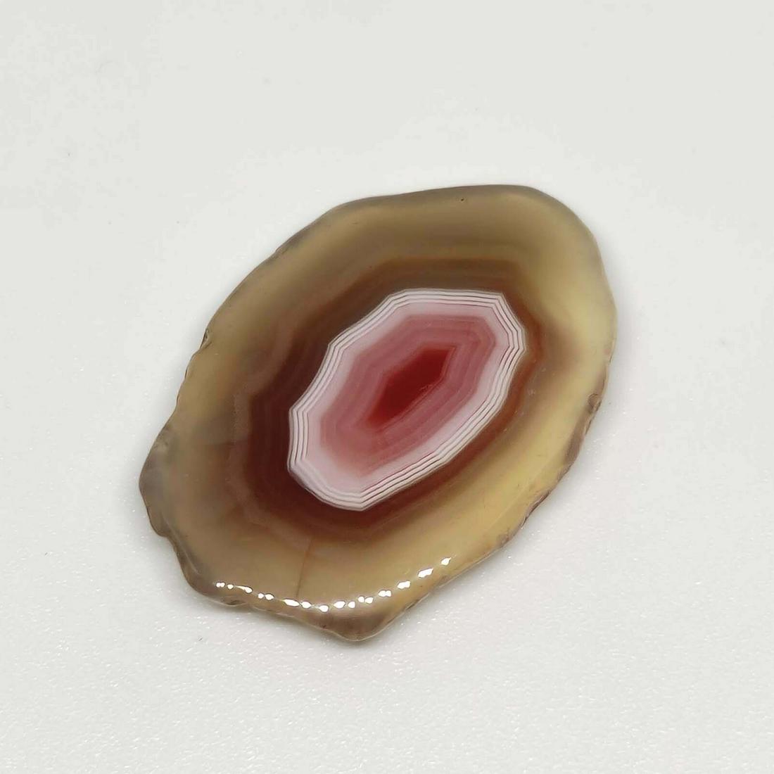 25.25 ct Natural Onyx Slice (1 of 2)