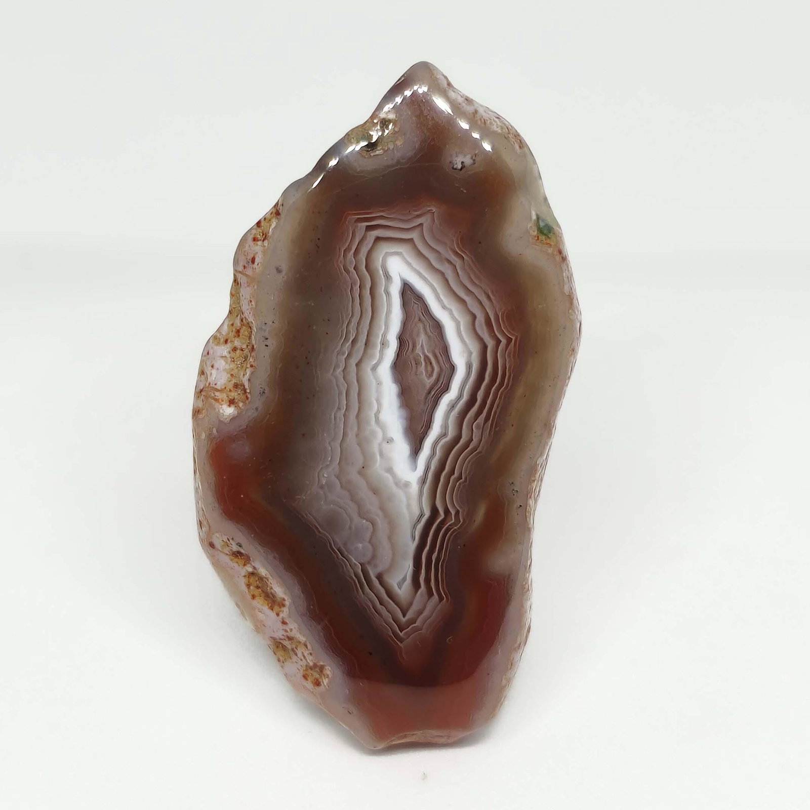 42.20 ct Natural Botswana Slice Agate (1 of 2)