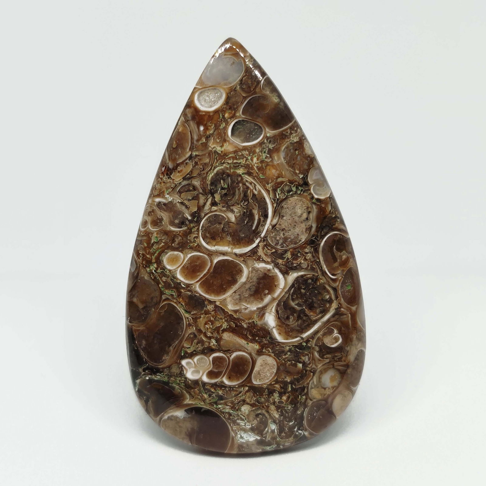 79.70 ct Natural Turtella Jasper: All the stones listed are 100% natural and rarely selected from a big quantity lot also these are of very high quality. BID WITH CONFIDENCE!!! DIMENSIONS : 56X33X5 mm