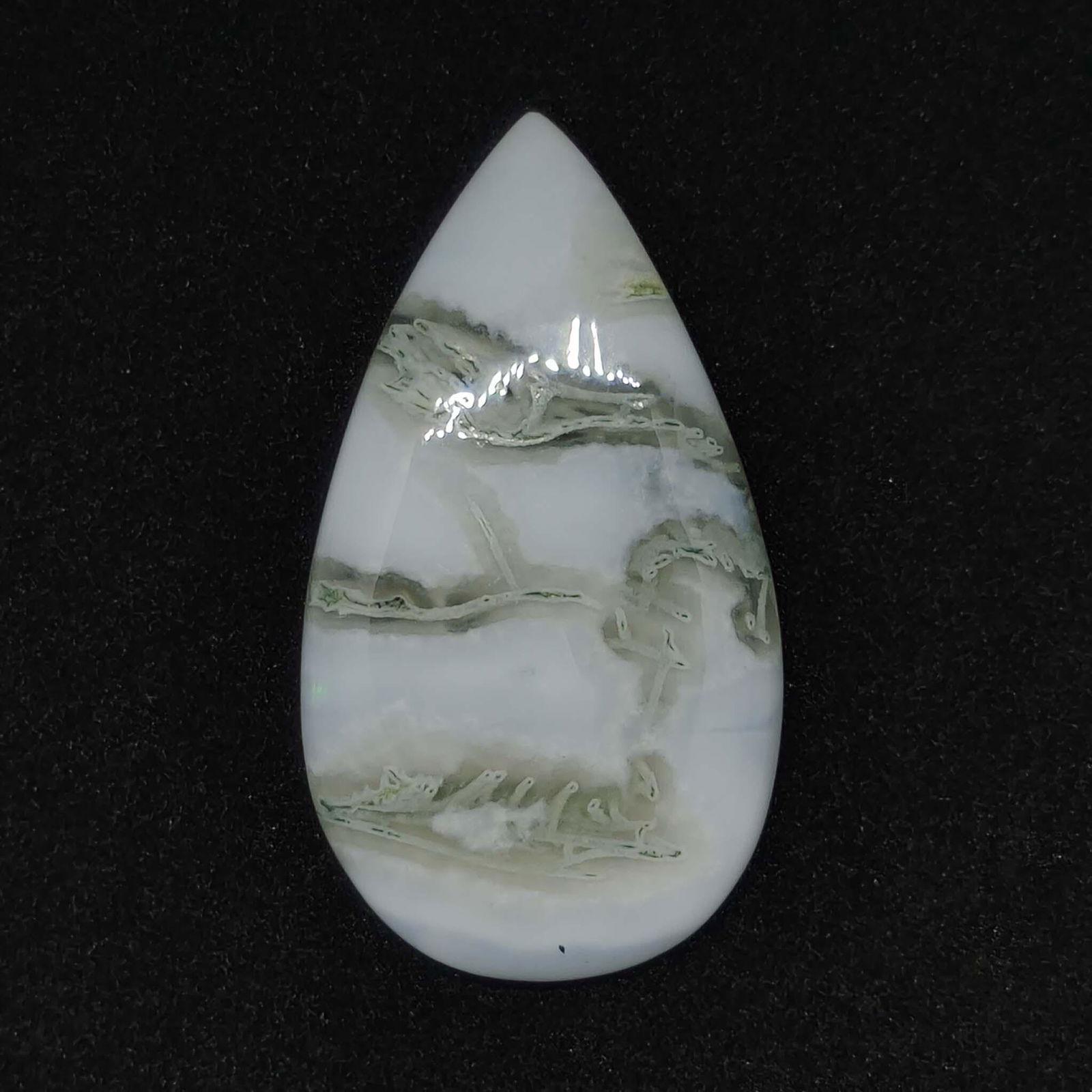 31.10 ct Natural Tree Agate (1 of 1)