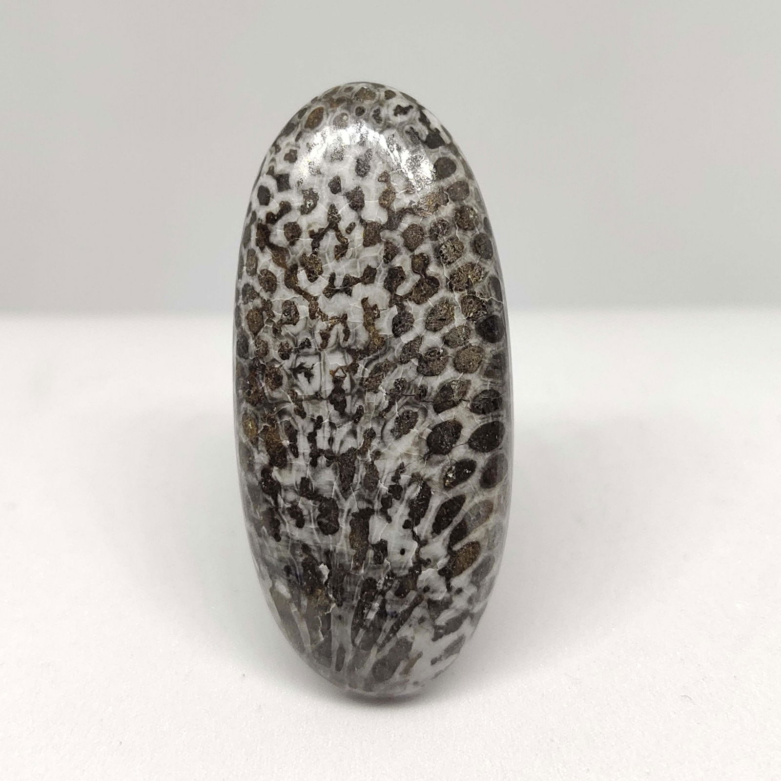 35.60 ct Natural String Rey Fossil Coral: All the stones listed are 100% natural and rarely selected from a big quantity lot also these are of very high quality. BID WITH CONFIDENCE!!! DIMENSIONS : 39X18X6 mm