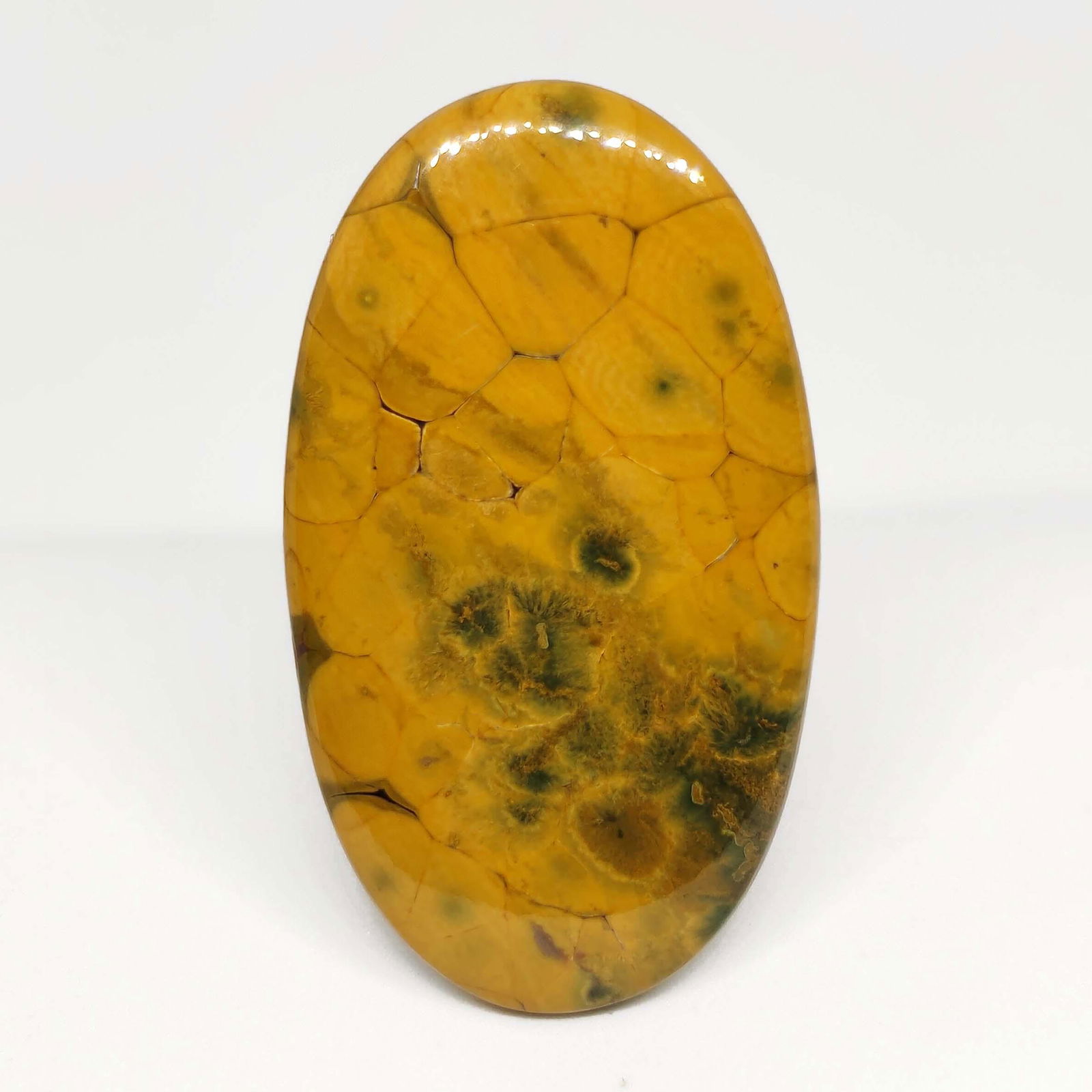 65.05 ct Natural Ocean Jasper: All the stones listed are 100% natural and rarely selected from a big quantity lot also these are of very high quality. BID WITH CONFIDENCE!!! DIMENSIONS : 51X29X5 mm