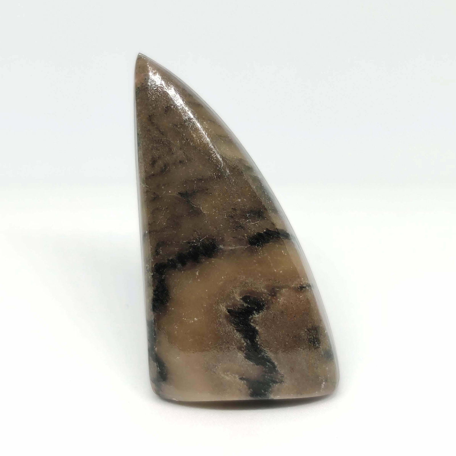 31.05 ct  Natural Wave Jasper (1 of 1)