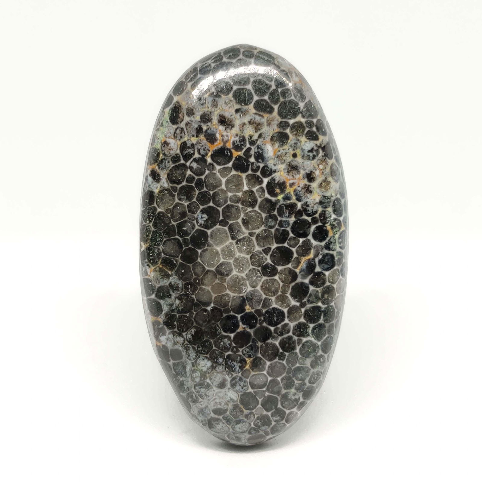 28.40 ct Top Grade Natural String Rey Fossil Coral: All the stones listed are 100% natural and rarely selected from a big quantity lot also these are of very high quality. BID WITH CONFIDENCE!!! DIMENSIONS : 34X18X5 mm