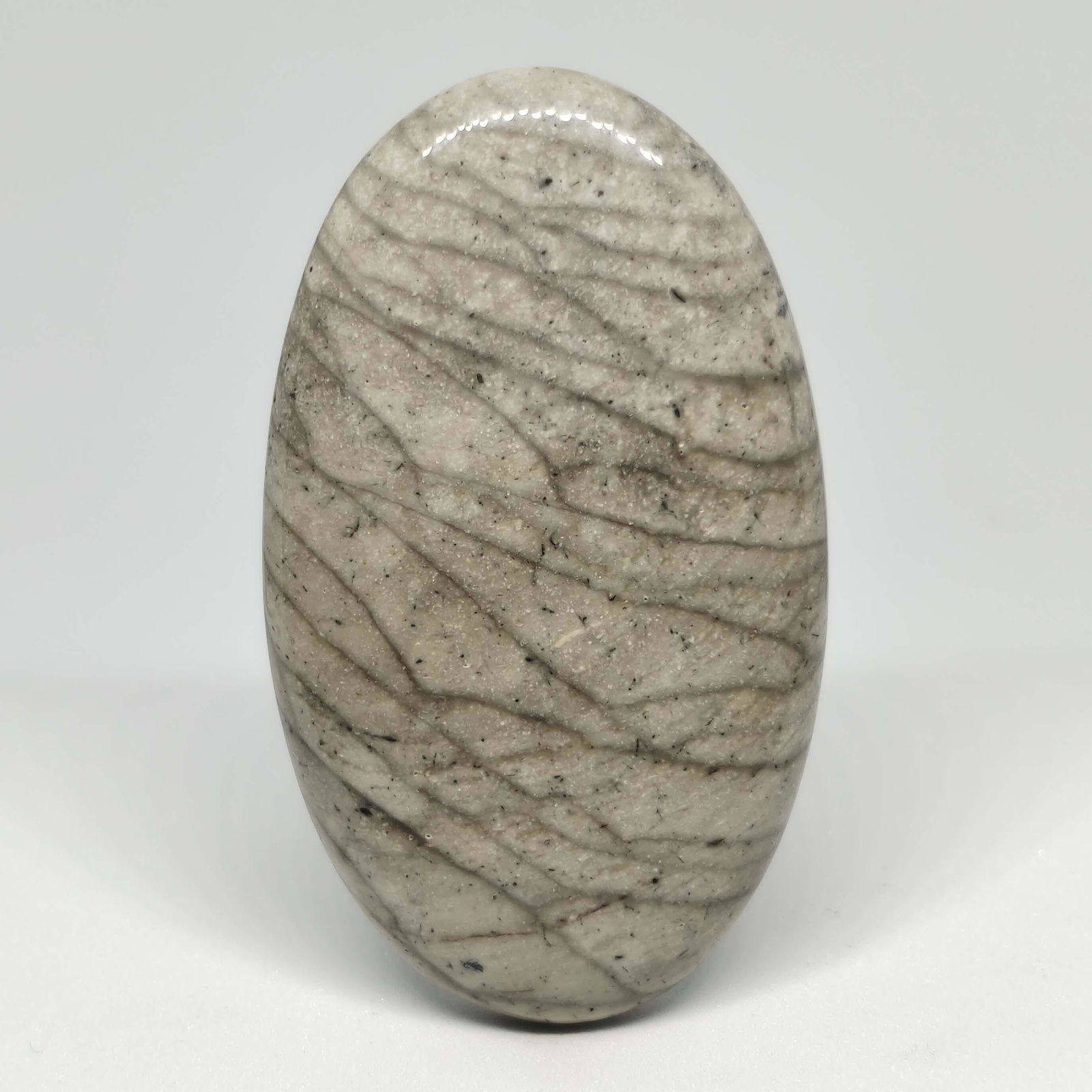 94.80 ct Natural Willow Creek Jasper: All the stones listed are 100% natural and rarely selected from a big quantity lot also these are of very high quality. BID WITH CONFIDENCE!!! DIMENSIONS : 52X31X7 mm