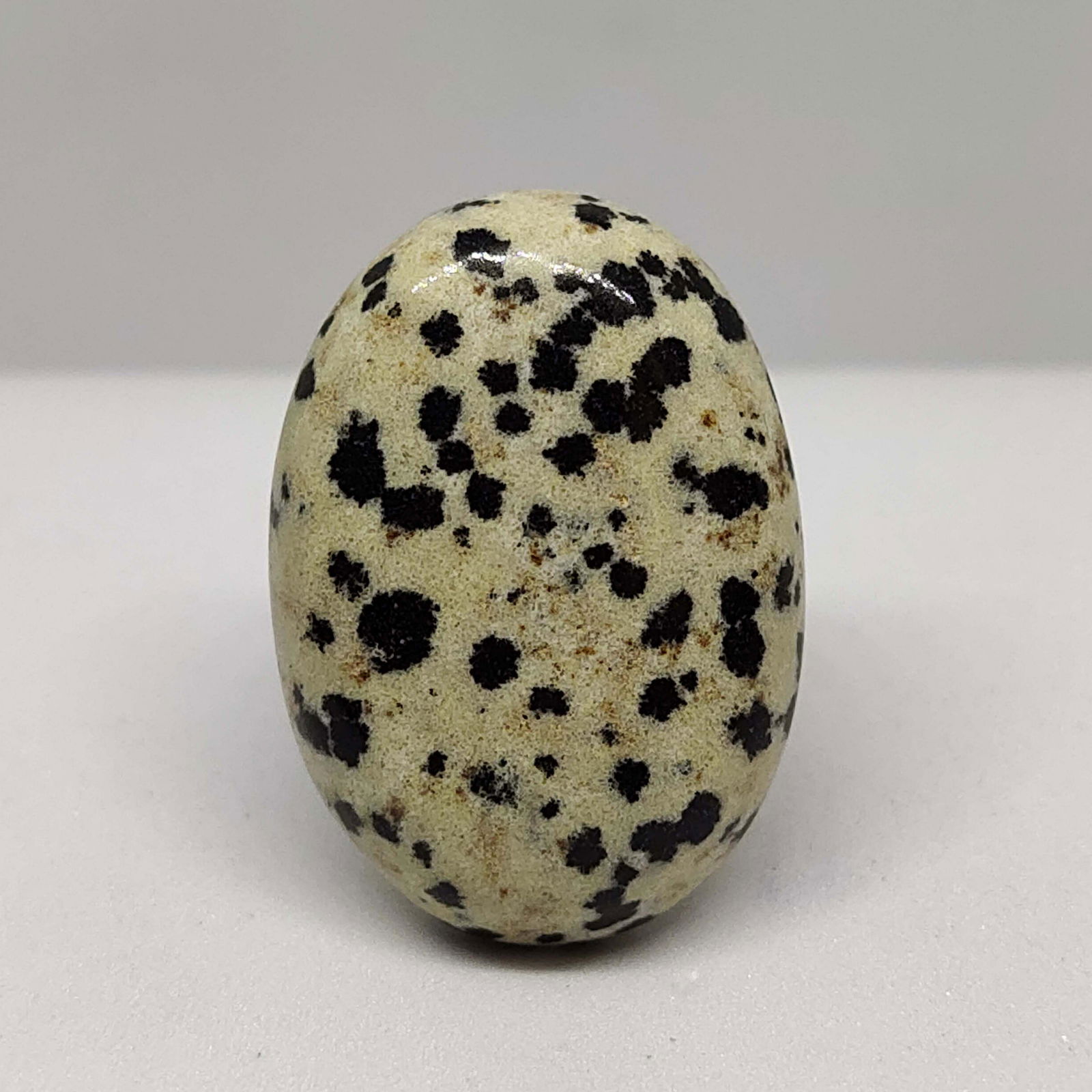 34.70 ct Natural Dalmatian Jasper: All the stones listed are 100% natural and rarely selected from a big quantity lot also these are of very high quality. BID WITH CONFIDENCE!!! DIMENSIONS : 28X20X7 mm