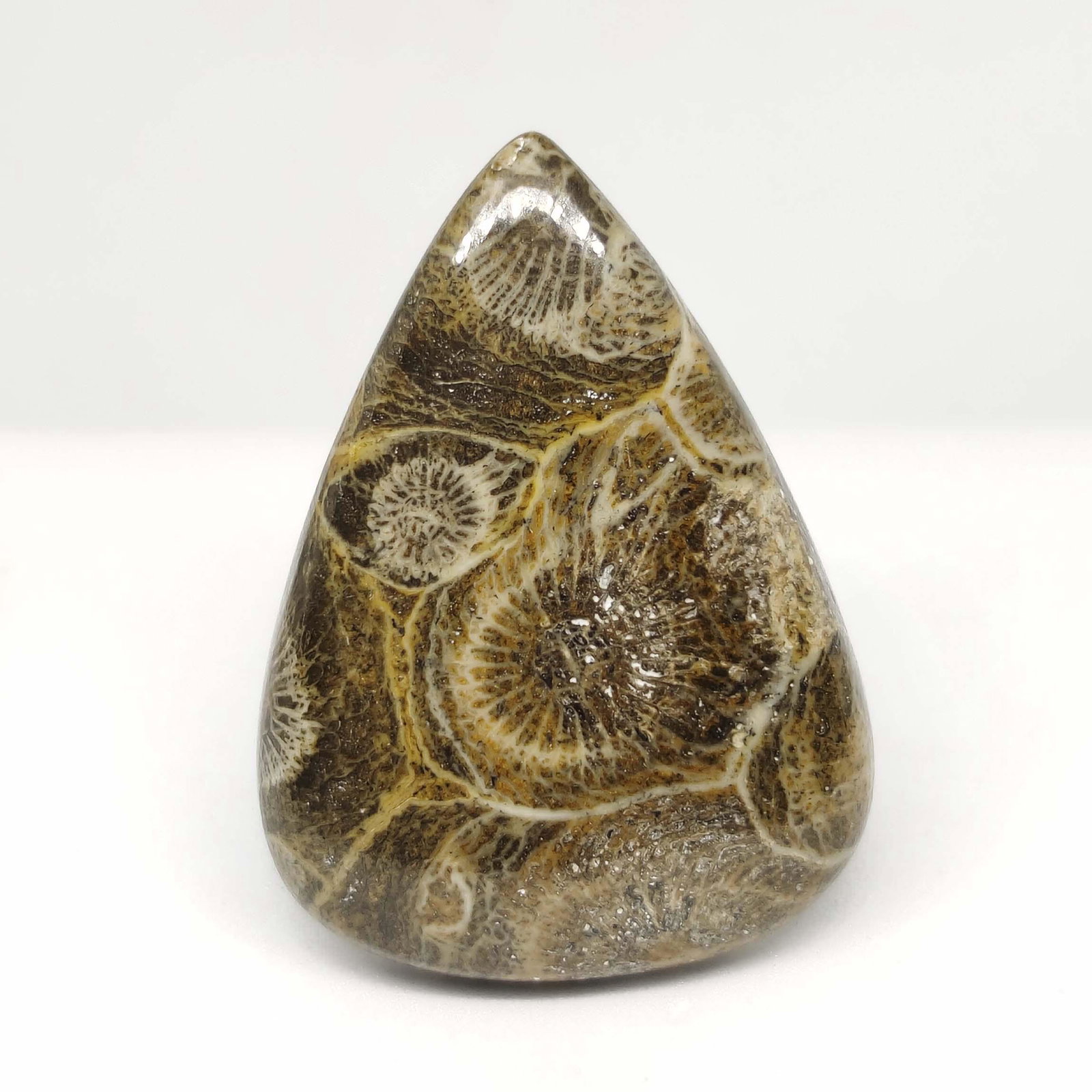 44.10 ct Natural Spider Web Fossil Coral: All the stones listed are 100% natural and rarely selected from a big quantity lot also these are of very high quality. BID WITH CONFIDENCE!!! DIMENSIONS : 38X28X5 mm