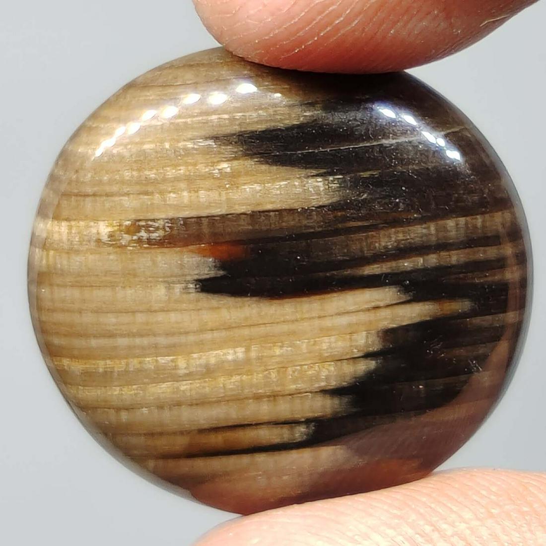 24.60 ct  Natural Peanut Wood Jasper (1 of 1)