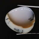 11.00 ct Natural Dendrite Opal