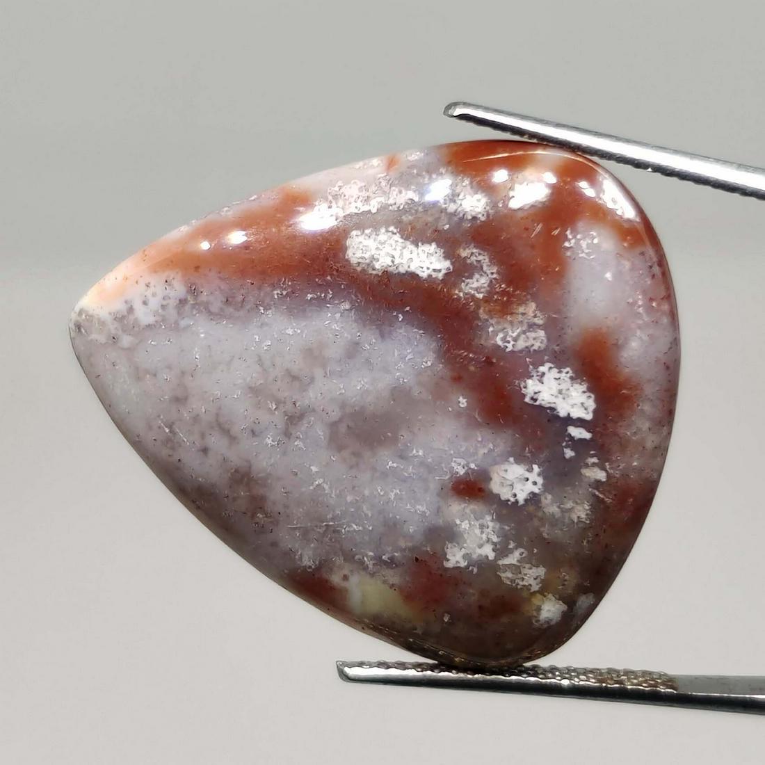 23.00 ct Natural Red Moss Agate (1 of 2)