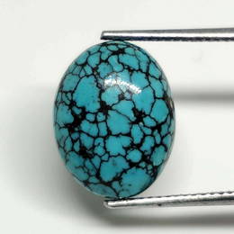 4.60 ct Natural Turquoise