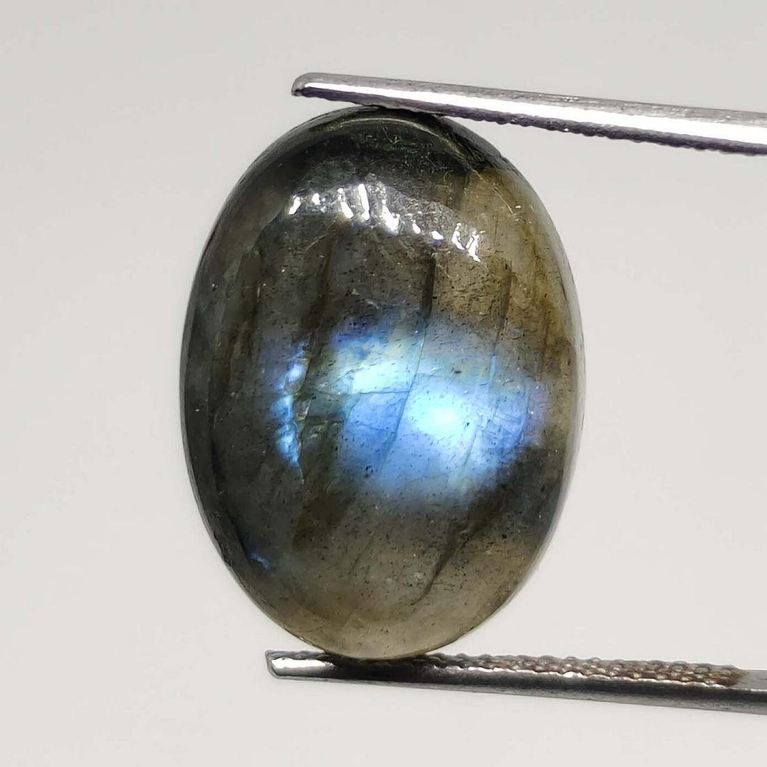 15.60 ct Natural Labradorite: Gemstones: LabradoriteCarat Weights: 15.60 ct Size/Dimensions: 18 x 13 x 7 mmOrigin : India
