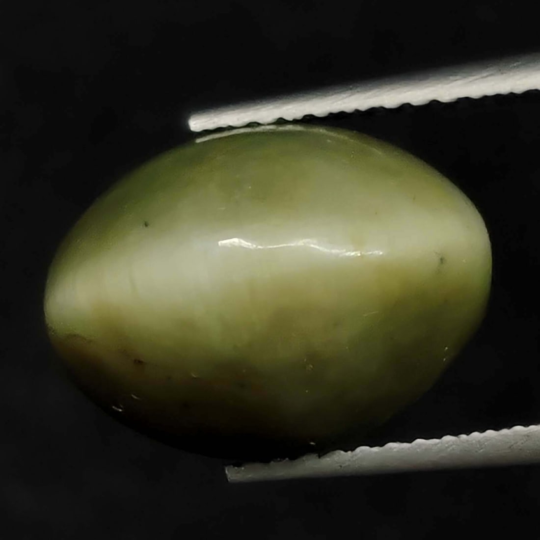 7.45 ct Natural Cat's Eye: Gemstones: Natural Cat's Eye /Carat Weights: 7.45 ct /Size or Dimensions: 13.30 X 10.30 X 7.70 mm /Treatment: No