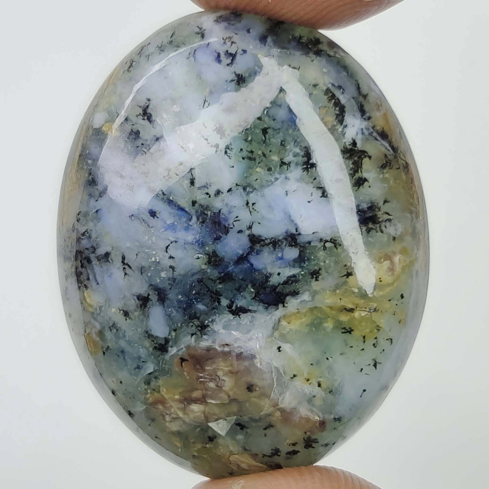 55.35 Ct Natural Tiger Dendrite Opal (1 of 3)