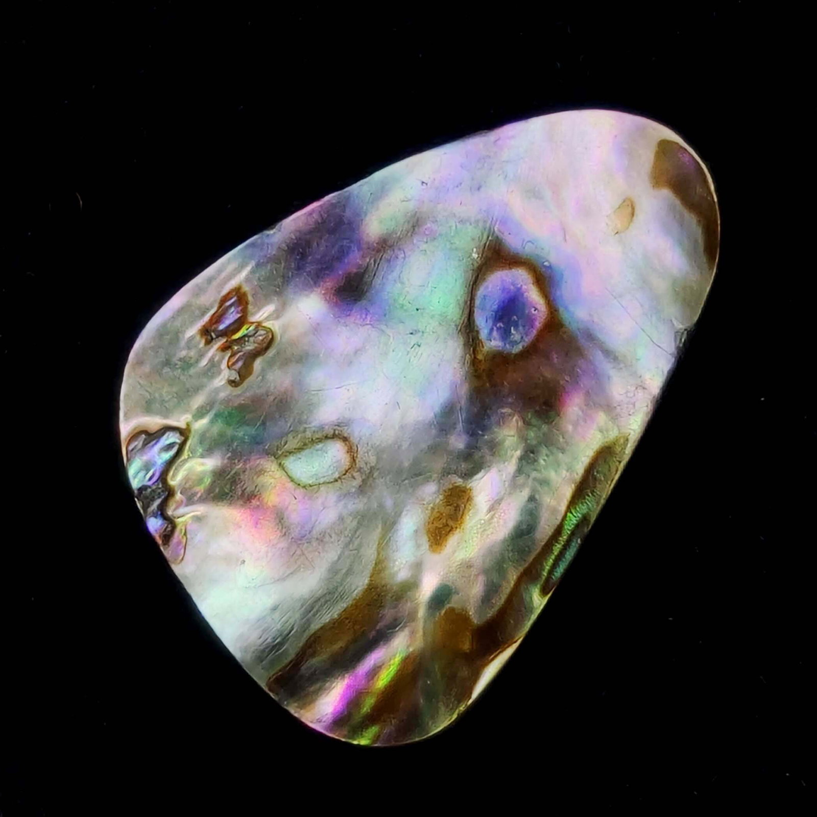 28.66 ct Natural Australian Abalone Shell (1 of 3)