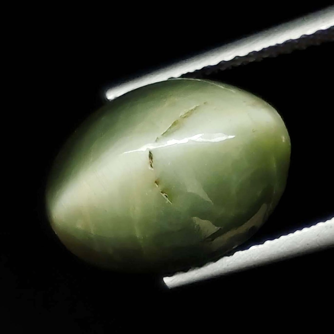 8.30 ct Natural Cat's Eye: Gemstones: Natural Cat's Eye /Carat Weights: 8.30 ct /Size or Dimensions: 13.80 X 10.70 X 7.90 mm /Treatment: No