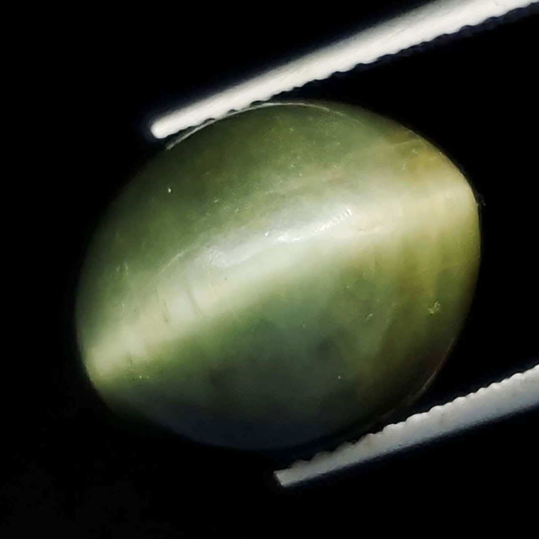 10.31 ct Natural Cat's Eye: Gemstones: Natural Cat's EyeCarat Weights: 10.31 ct Size/Dimensions: 14.50 X 11.90 X 8.50 mmTreatment: No