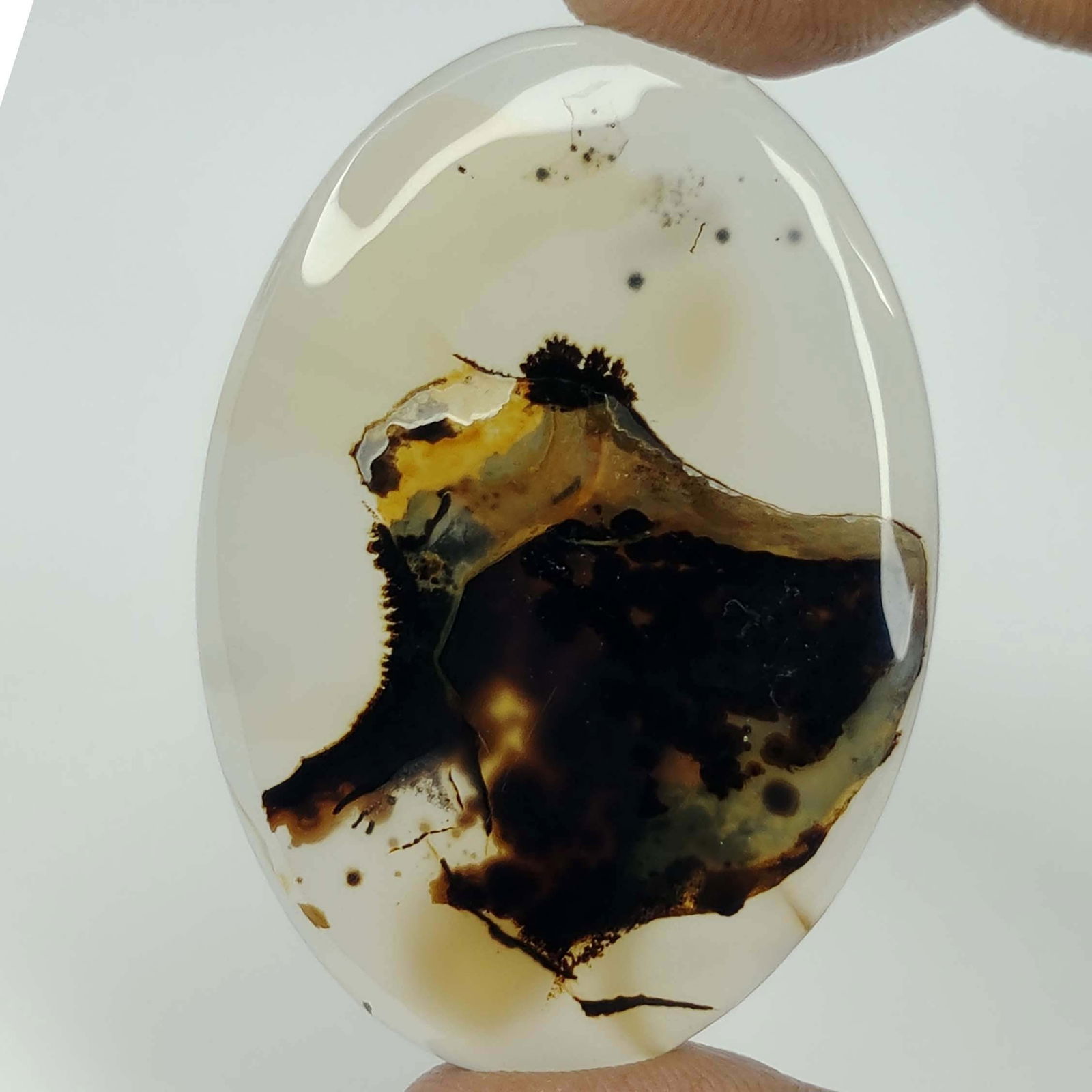 82 Ct Natural Montana Agate: Gemstones: Natural Agate /Carat Weights: 82 ct /Size or Dimensions: 52 X 35 X 5 mm /Treatment: No