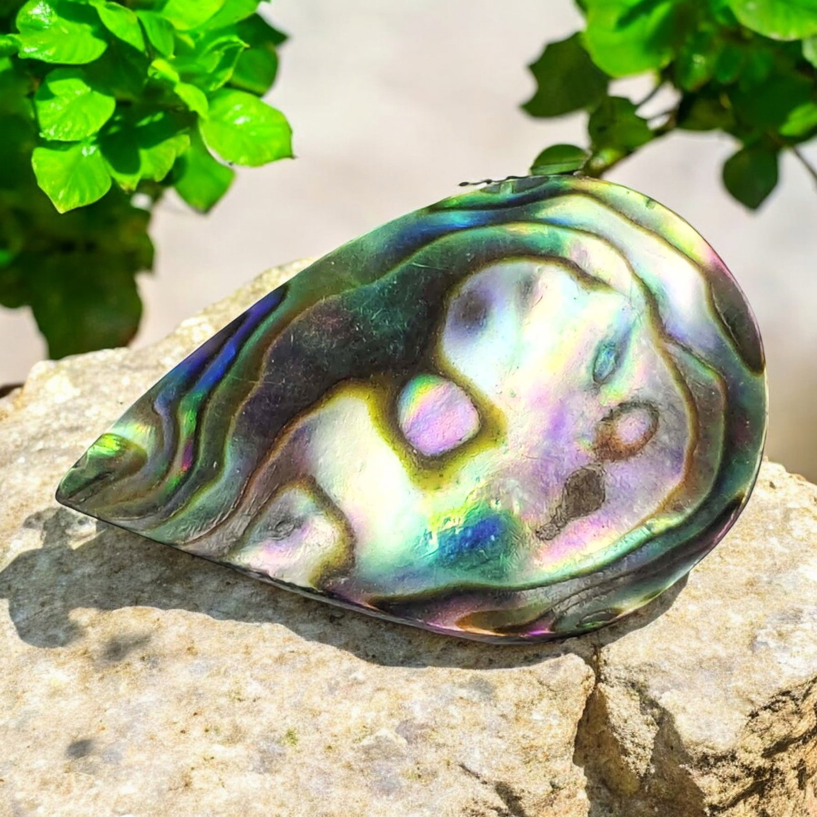 17 ct Natural Australian Abalone Shell: Gemstones: Natural Abalone ShellCarat Weights: 17 ct Size/Dimensions: 25.80 X 16.40 X 5.60 mm