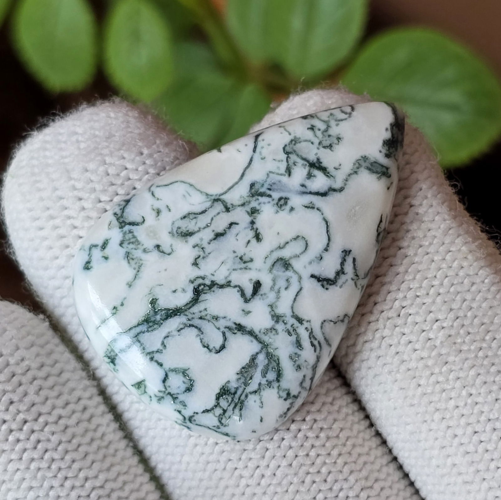 40.40 Ct Natural Tree Agate (1 of 3)