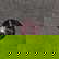 item-209629033=1