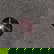 item-209629033=2