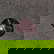 item-209629033=3