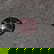 item-209629033=5