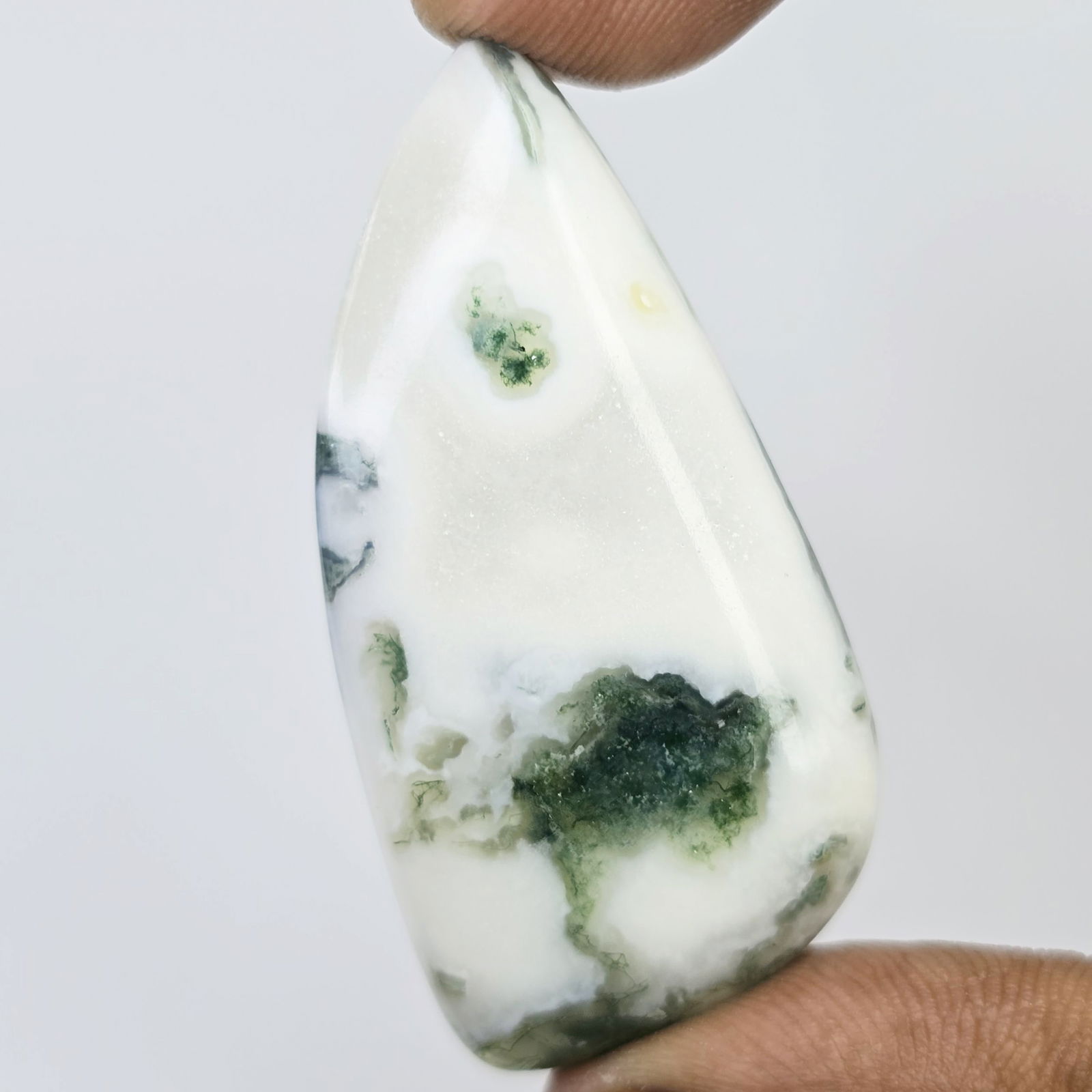 48.50 Ct Natural Tree Agate (1 of 1)