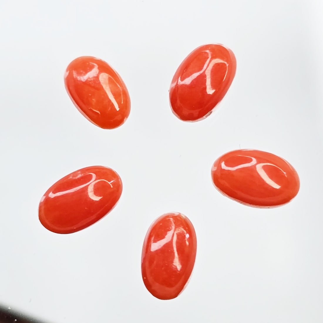 1.20 ct Natural Red Coral Oval Set (1 of 2)