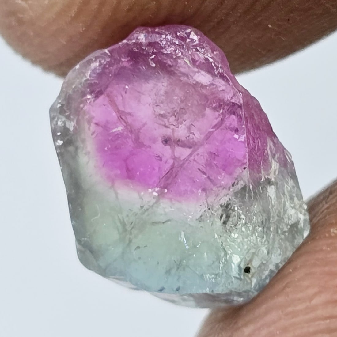 2.76 ct Natural Watermelon Tourmaline Slice: Gemstones: Natural Tourmaline /Carat Weights: 2.76 ct /Size or Dimensions: 11 X 8.40 X 3.60 mm