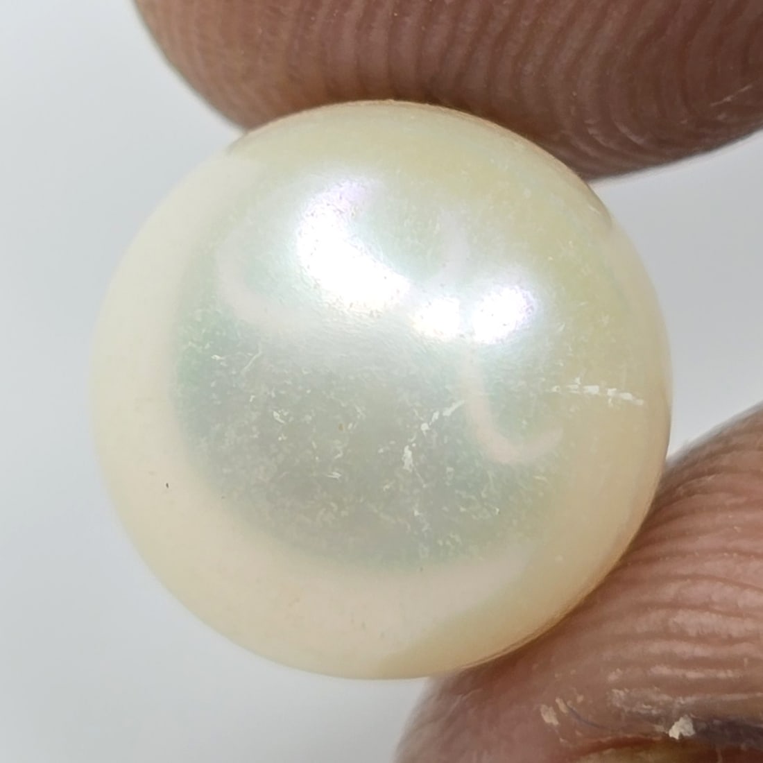 6.36 ct Natural Fresh Water Pearl: Gemstones: Natural Fresh Water Pearl /Carat Weights: 6.36 ct /Size or Dimensions: 10 X 8 mm Approx