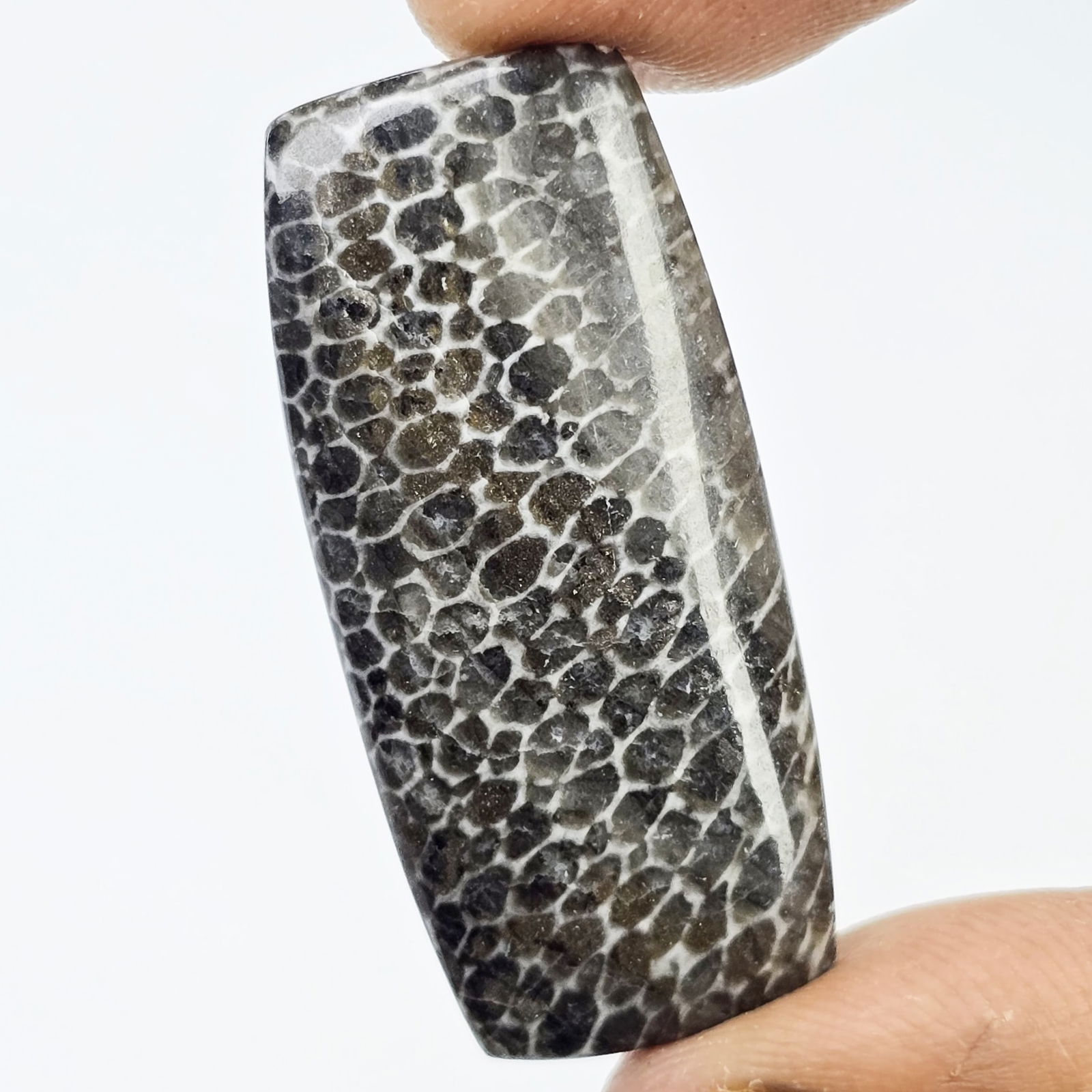 19.75 ct Natural Black Fossil Coral: Gemstones: Natural Fossil Coral /Carat Weights: 19.75 ct /Size or Dimensions: 39 X 15.40 X 4 mm Approx