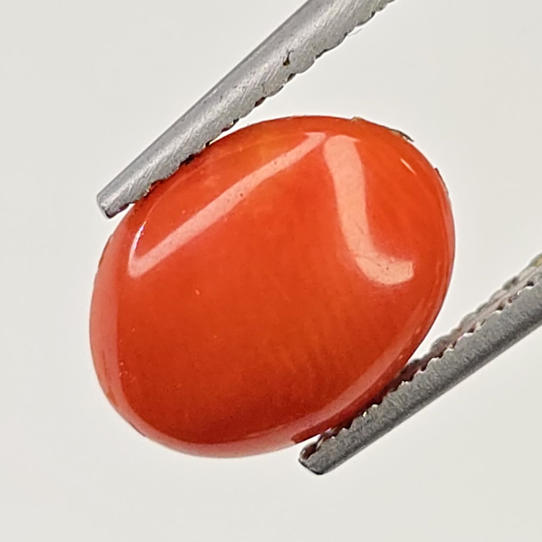 1.37 ct Natural Red Coral Oval: Gemstones: Natural Red Coral /Carat Weights: 1.37 ct /Size or Dimensions: 9 X 7 mm