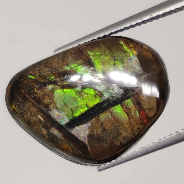 16 Ct "Rarest" Natural Ammolite: Gemstones: Natural AmmoliteCarat Weights: 16 ct Size/Dimensions: 23 X 16.40 X 5.40 mm ApproxTreatment: No