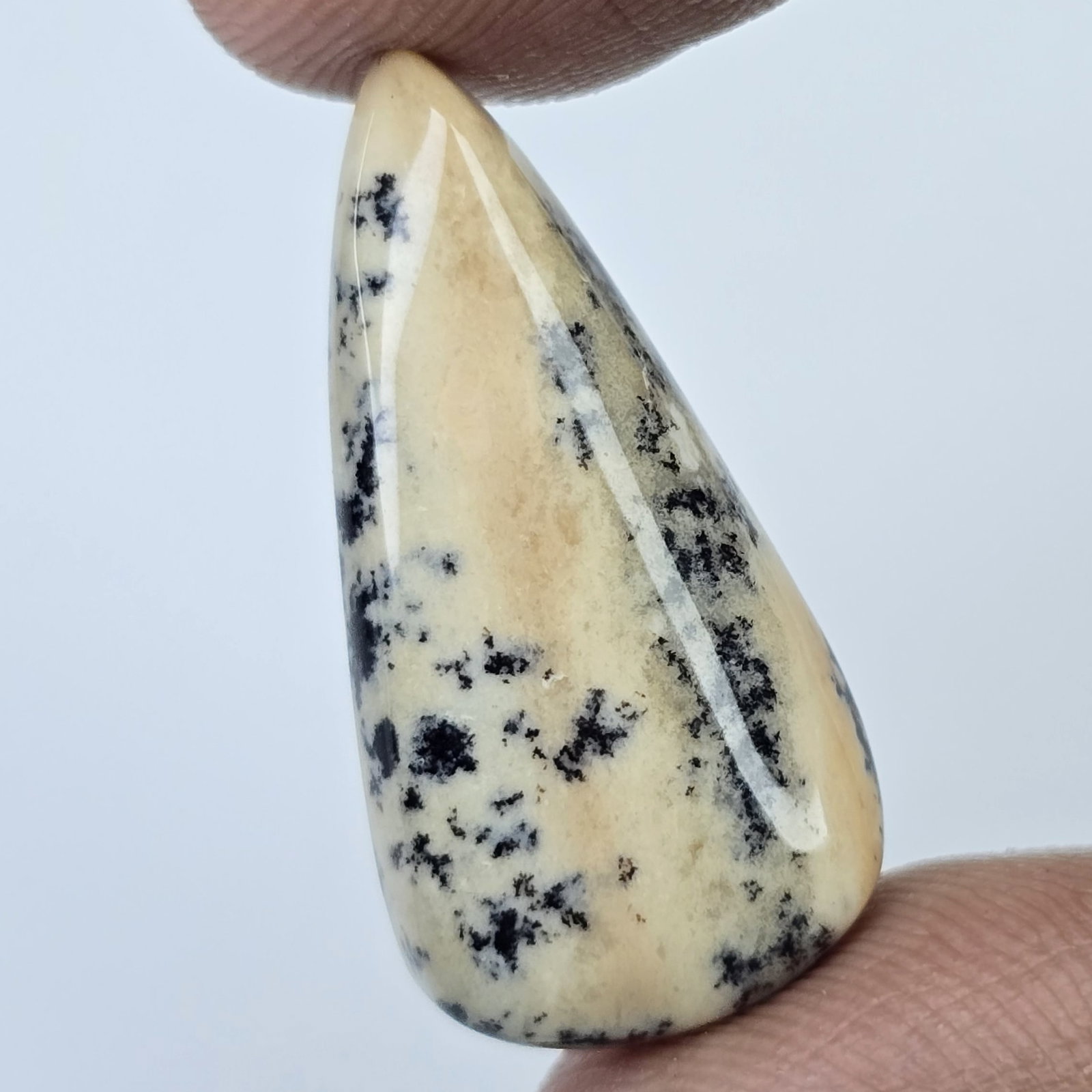 16 Ct Natural Tiger Dendrite Opal (1 of 3)