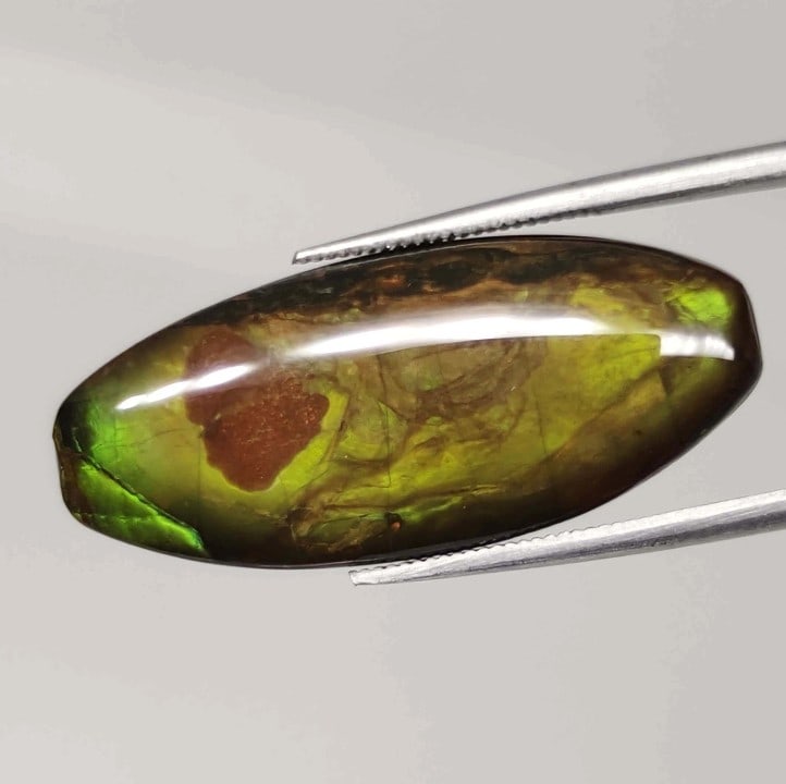20.45 Ct "Rarest" Natural Ammolite (1 of 2)