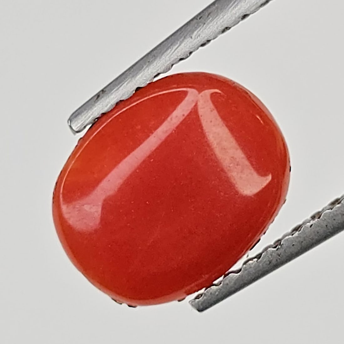 1.32 ct Natural Red Coral (1 of 3)