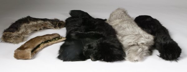 Collection Of 5 Mink Shawls