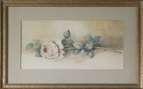 J.W. Clarke, Watercolor on Paper; Rose: A finely painted white rose branch with an open rose laying on its' side. 8" H x 16" W, matted and framed. Signed middle right, J.W. Clarke~probably James Clarke, United Kingdom, 19th C. Excellent con
