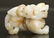 764: Chinese Qing White & Russet Jade Foo Lion